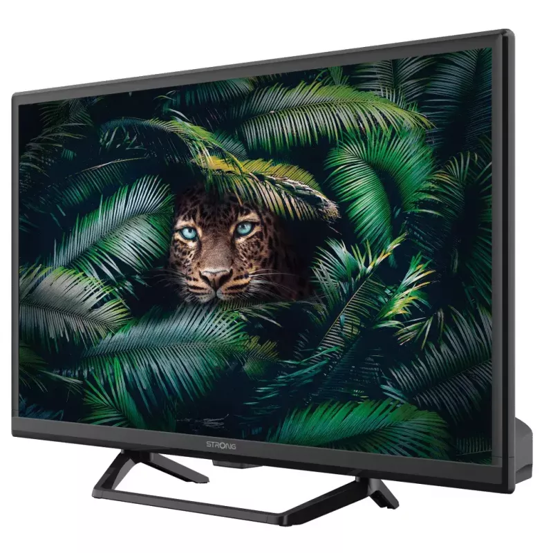 Telewizor Strong SRT 24HE4023C 24 cale HD LCD 1366 x 768