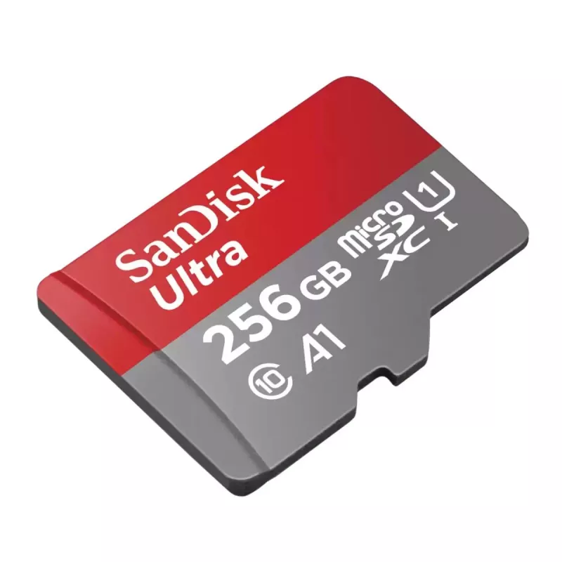 WESTERN DIGITAL SanDisk Ultra Micro SDXC Chromebooks 256GB 150MBs