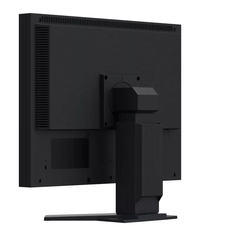 Monitor EIZO FlexScan S2134 21,3 cala LED DisplayPort DVI-D VGA