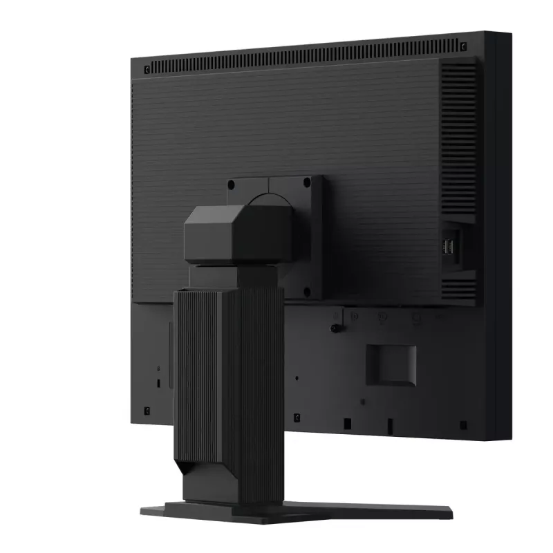 Monitor EIZO FlexScan S2134 21,3 cala LED DisplayPort DVI-D VGA