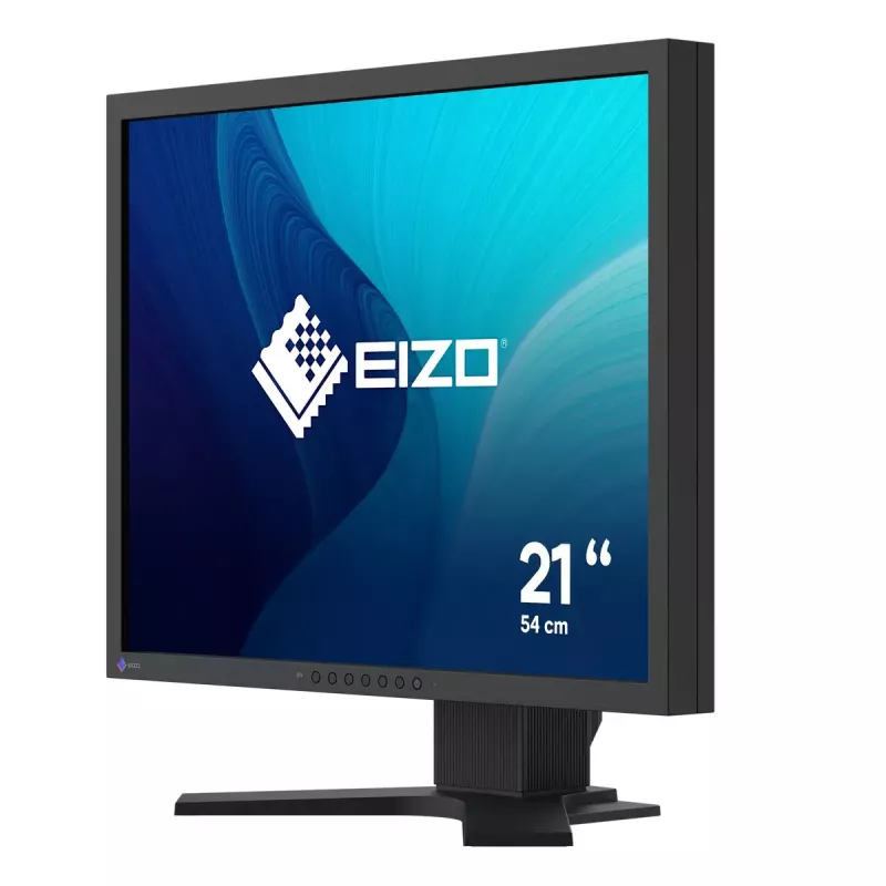 Monitor EIZO FlexScan S2134 21,3 cala LED DisplayPort DVI-D VGA