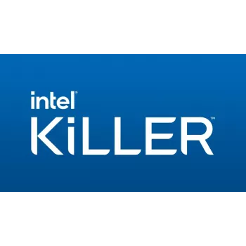 INTEL Wi-Fi 7 Be1750x - Karta sieciowa - M.2 2230 - Wi-Fi 5, Wi-Fi 7, Bluetooth