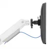 Neomounts DS65S-950WH2 Uchwyt do monitora 24-34 cala - sprężyna gazowa - Topfix - wieloregulowany - blokada 180°