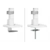 Neomounts DS65S-950WH2 Uchwyt do monitora 24-34 cala - sprężyna gazowa - Topfix - wieloregulowany - blokada 180°