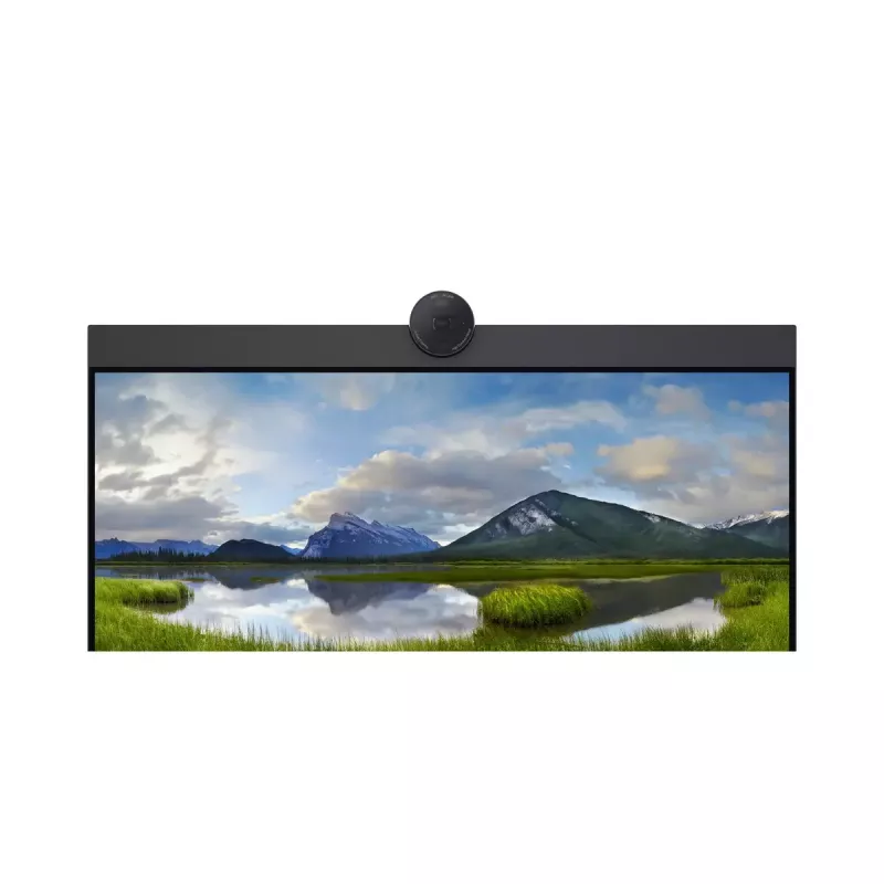 DELL P2424HEB 60,5 cm (23,8 cala) LCD 1920 x 1080 pikseli Full HD