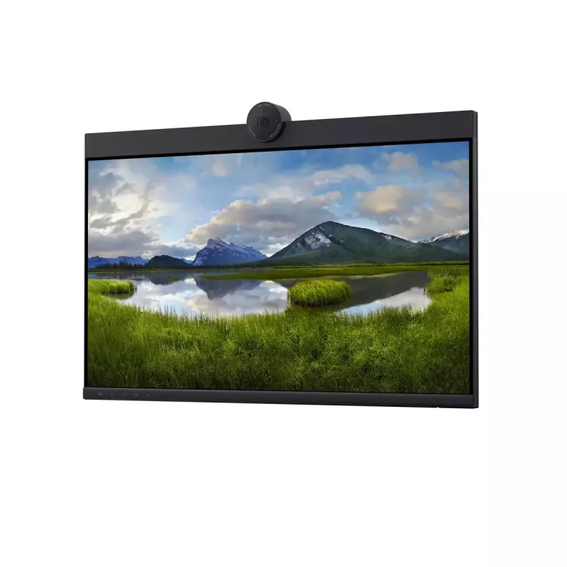 DELL P2424HEB 60,5 cm (23,8 cala) LCD 1920 x 1080 pikseli Full HD