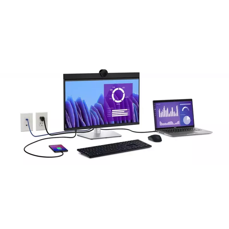 DELL P2424HEB 60,5 cm (23,8 cala) LCD 1920 x 1080 pikseli Full HD