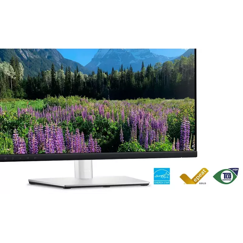 DELL P2424HEB 60,5 cm (23,8 cala) LCD 1920 x 1080 pikseli Full HD