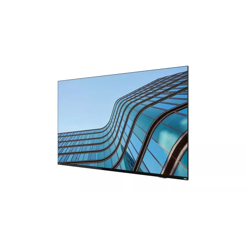 Monitor komputerowy Lenovo ThinkVision E55 LFD 138,7 cm (54,6 cala) 3840 x 2160 pikseli 4K Ultra HD IPS Czarny
