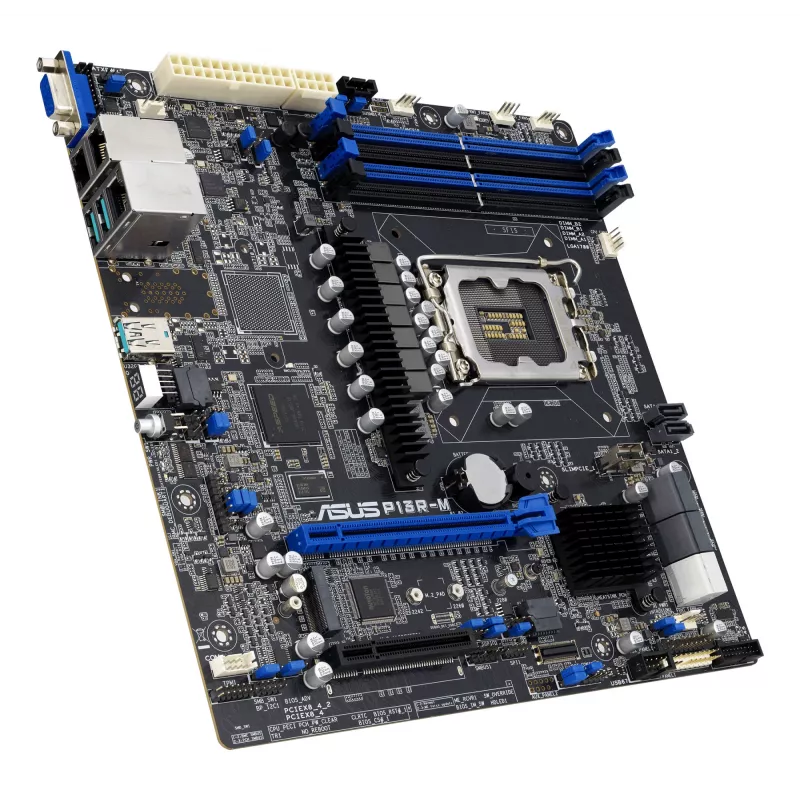 Płyta główna ASUS P13R-M Intel C262 LGA 1700 micro ATX, DDR5, 4 DIMM, 128GB, 8x SATA III, 1x M.2, 2x LAN