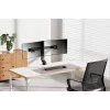 Neomounts FPMA-D860DBLACK Uchwyt do monitora 10-27 cali