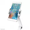 Neomounts DS15-545WH1 Uchwyt na tablet z zaciskiem biurkowym 4.7-12.9 cala - uniwersalny - pełny zakres ruchu