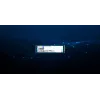 Kingston Technology 480GB DC2000B PCIe 4.0 M.2 2280 Enterprise SSD