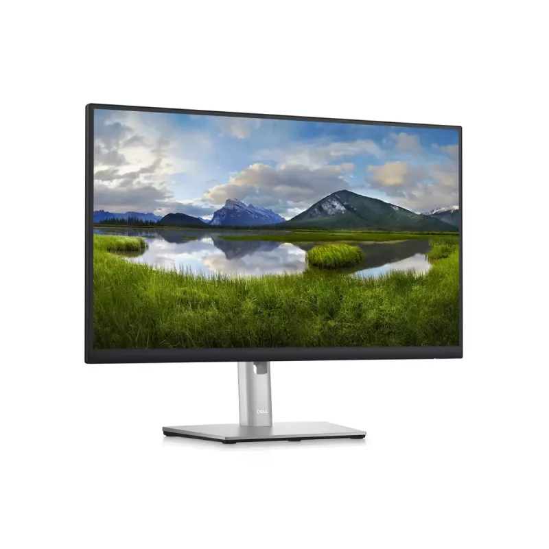 Monitor DELL P2423D 23,8 cala LCD Quad HD 2560 x 1440