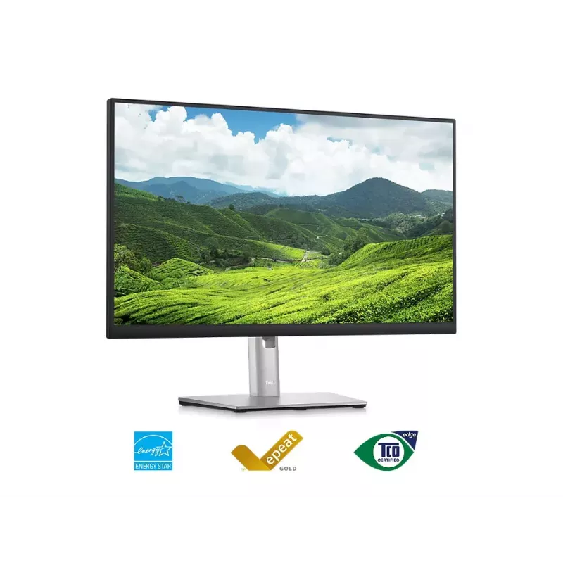 Monitor DELL P2423D 23,8 cala LCD Quad HD 2560 x 1440