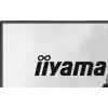 Monitor IIYAMA G2441HSU 23.8 cala IPS 1920x1080 144Hz 1ms MPRT, FreeSync, głośniki, hub USB, VESA