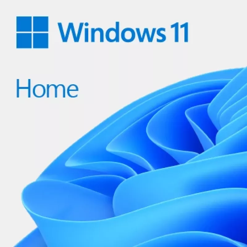 MICROSOFT Windows 11 Home 64bit Oem - 1 użytkownik - Win - Holenderski
