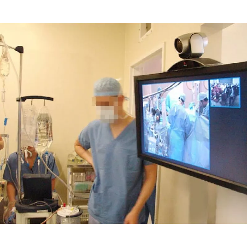 ERGOTRON Interactive Arm Hd (polerowane aluminium)