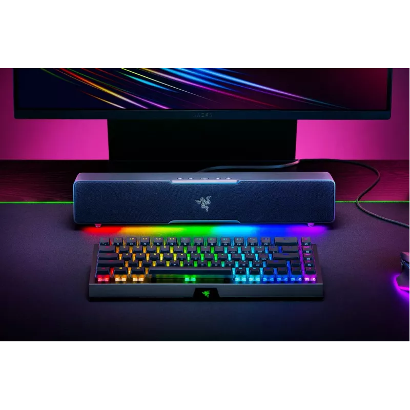 RAZER Leviathan V2 X - Głośnik do gier komputerowych - czarny