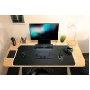 RAZER Leviathan V2 X - Głośnik do gier komputerowych - czarny