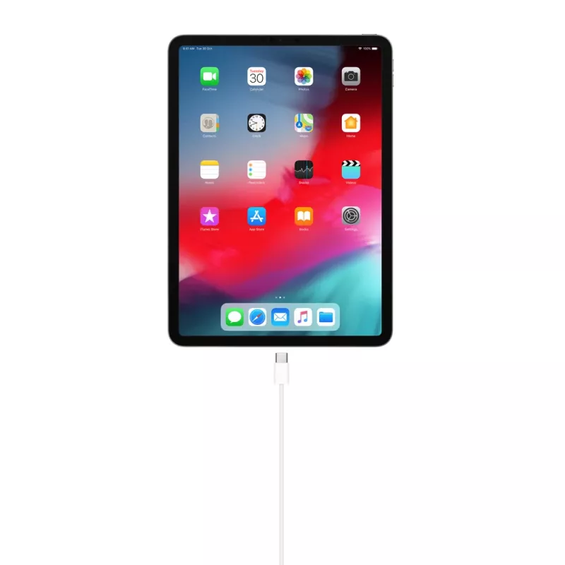 Kabel USB Apple MM093ZM/A 1m USB C biały