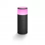 Philips Hue biały and colour ambience Calla Outdoor pedestal