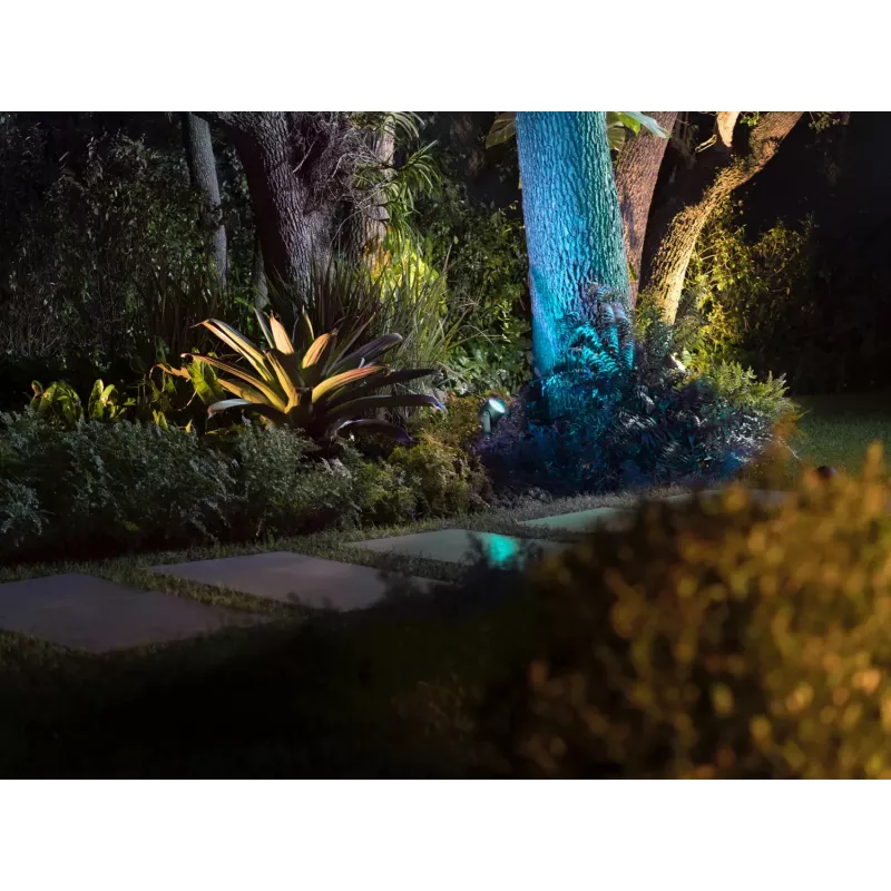 Philips Hue biały and colour ambience Lily XL zewnętrzny reflektor punktowy