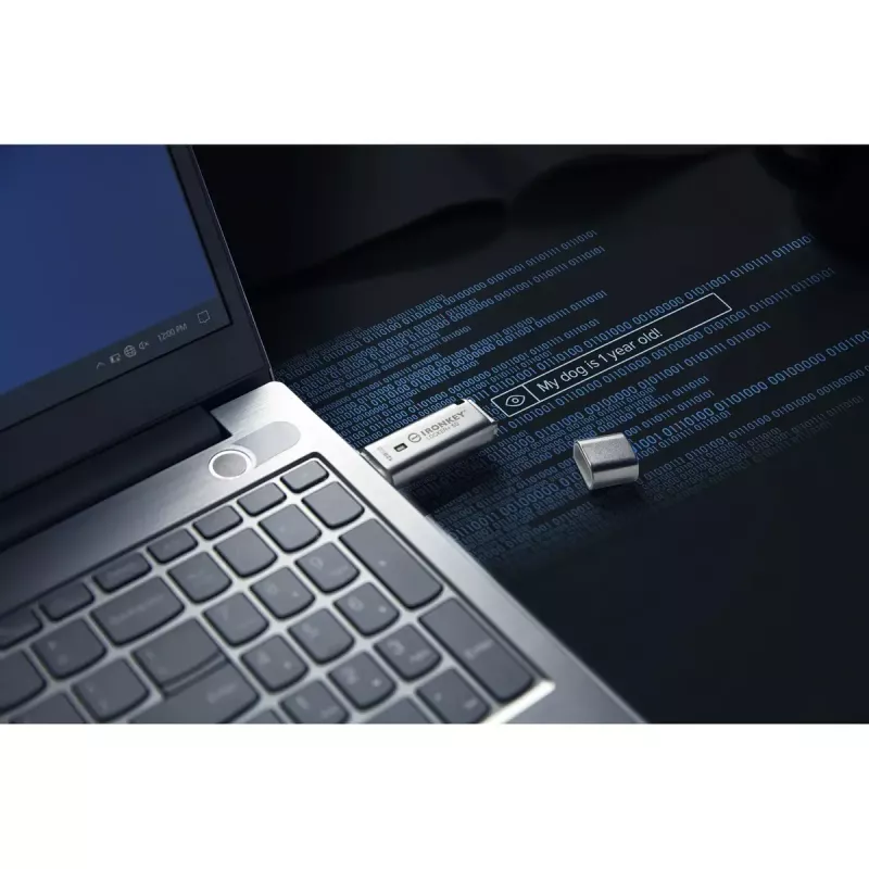 Kingston Technology IronKey 128 GB IKLP50 AES USB, z szyfrowaniem 256-bitowym