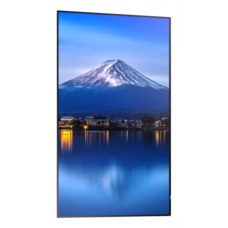 Sharp MultiSync P656 Kiosk design 163.8 cm (64.5 cal) LCD 700 cd/m² 4K Ultra HD Czarny Wbudowany procesor