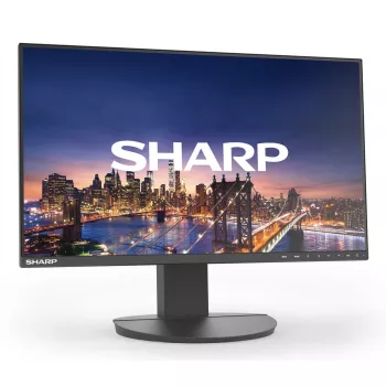Monitor komputerowy Sharp MultiSync EA242F 24 cale Full HD 1920 x 1080 LCD Czarny