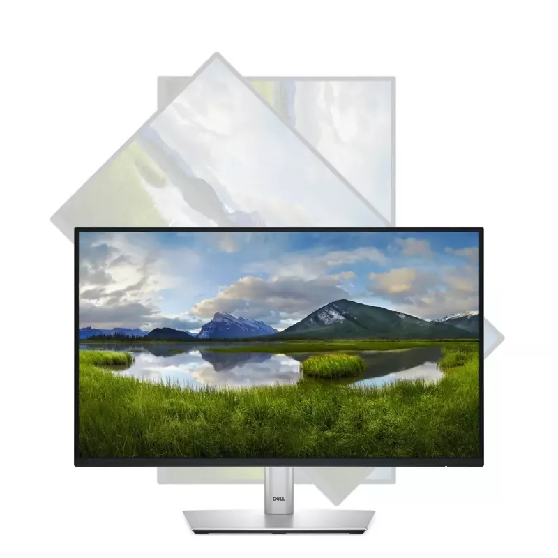Monitor komputerowy DELL P Series P2225H 54,6 cm (21,5 cala) 1920 x 1080 pikseli Full HD LCD Czarny, Srebrny