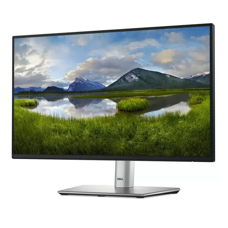 Monitor komputerowy DELL P Series P2225H 54,6 cm (21,5 cala) 1920 x 1080 pikseli Full HD LCD Czarny, Srebrny