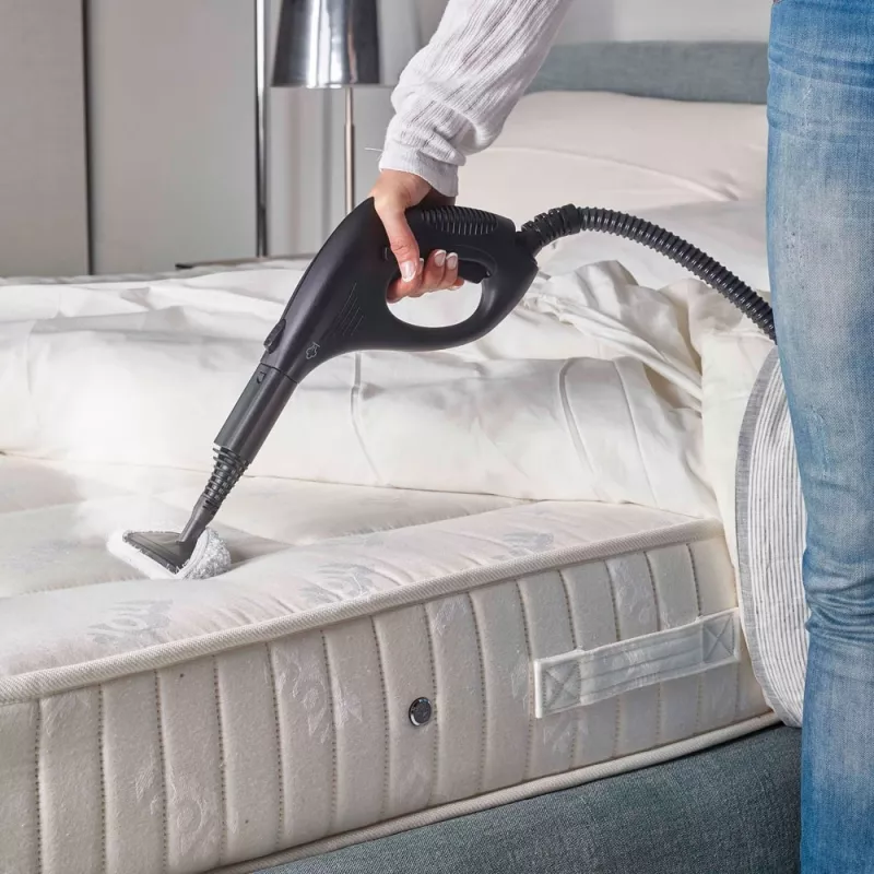 Polti Vaporetto Smart 30_S Cylindrowy odkurzacz parowy 1,6 L 1800 W Szary, biały