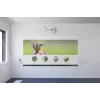 Projektor Epson EB-1485Fi Ultra krótki rzut 5000 ANSI lumenów 3LCD 1080p (1920x1080) Biały
