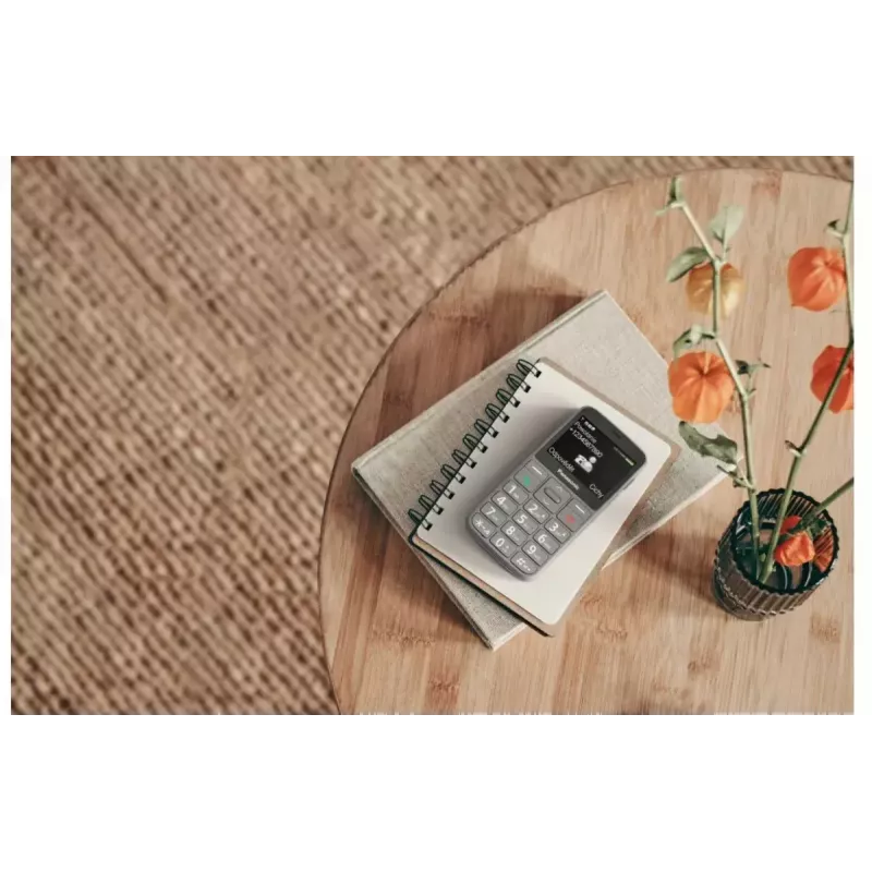 Telefon komórkowy Panasonic KX-TU160 2,4 cala