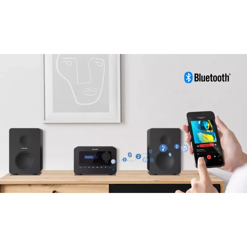 Sharp TOKYO DAB+ HI-FI Mikrowieża Mini wieża hi-fi 40 W Czarny