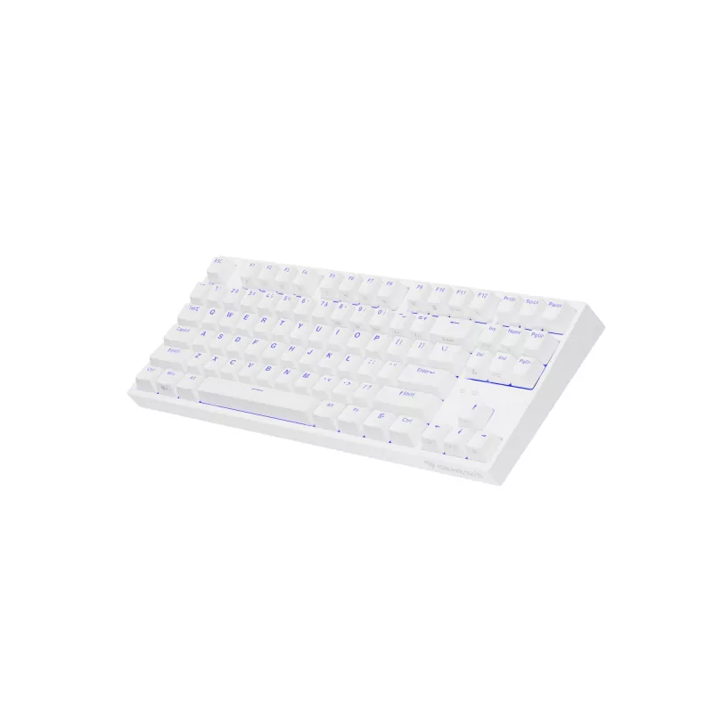 Klawiatura gamingowa GENESIS Thor 404 TKL USB QWERTY US International Biała