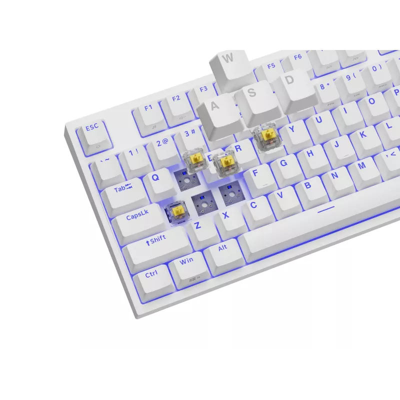 Klawiatura gamingowa GENESIS Thor 404 TKL USB QWERTY US International Biała
