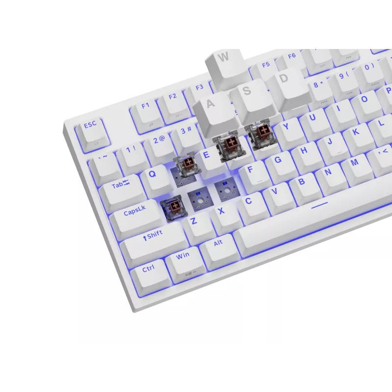 Klawiatura gamingowa GENESIS Thor 404 TKL USB QWERTY US International Biała