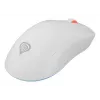 Mysz gamingowa GENESIS Zircon XIII, ambidekstralna, RF Wireless + USB Type-C, optyczna, 26000 DPI