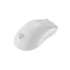 Mysz gamingowa GENESIS Zircon 500 Praworęczna RF Bezprzewodowa + Bluetooth + USB Type-C Optyczna 10000 DPI