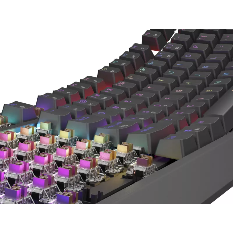 Mechaniczna klawiatura gamingowa Genesis Thor 230 TKL — Tenkeyless, US QWERTY, przełączniki Outemu Brown, RGB, 1000 Hz, USB
