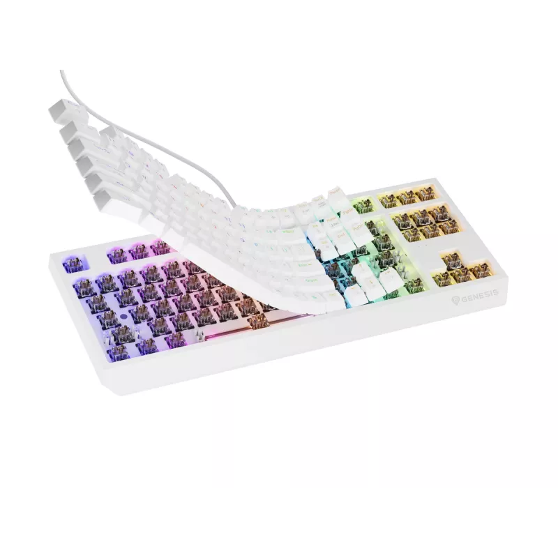 Klawiatura gamingowa GENESIS Thor 230 TKL USB + RF Wireless + Bluetooth QWERTY Biała