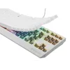 Klawiatura gamingowa GENESIS Thor 230 TKL USB + RF Wireless + Bluetooth QWERTY Biała