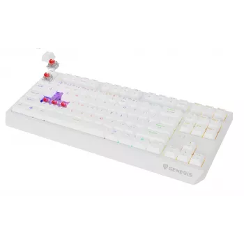 Bezprzewodowa klawiatura gamingowa GENESIS Thor 230 TKL — USB, RF Wireless, Bluetooth, QWERTY, Biała