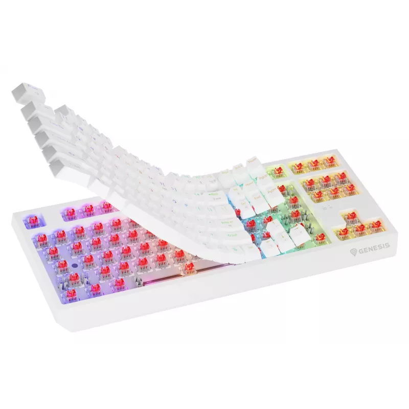 Bezprzewodowa klawiatura gamingowa GENESIS Thor 230 TKL — USB, RF Wireless, Bluetooth, QWERTY, Biała