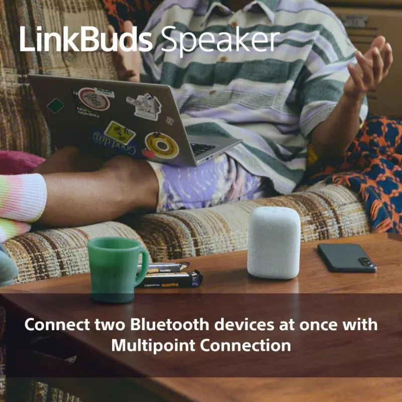 Przenośny głośnik Bluetooth Sony SRS-LS1 Czarny — wodoodporny, kompaktowa konstrukcja