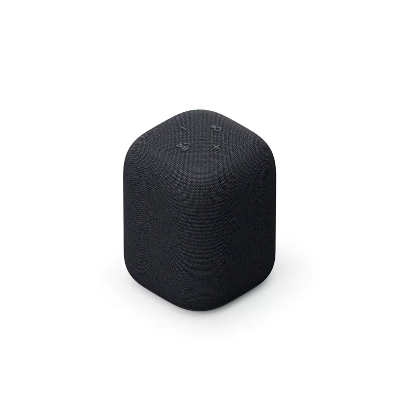 Przenośny głośnik Bluetooth Sony SRS-LS1 Czarny — wodoodporny, kompaktowa konstrukcja