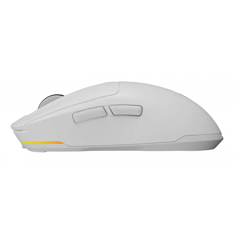 Mysz GENESIS NMG-2194 Gaming Ambidextralna Bluetooth + USB Type-C Optyczna 26000 DPI