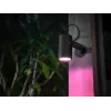 Philips Hue biały and colour ambience Lily zewnętrzny reflektor punktowy